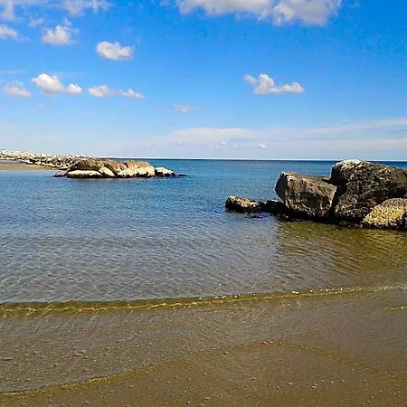 Aquila D'oro